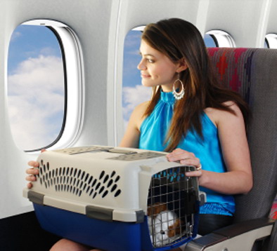 Правила перевозки животных авиатранспортом